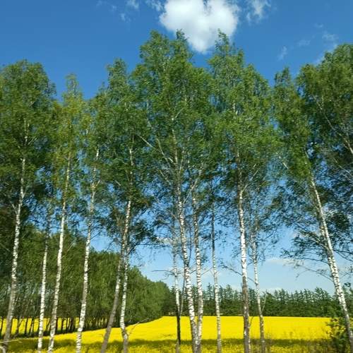 Photo #13738914