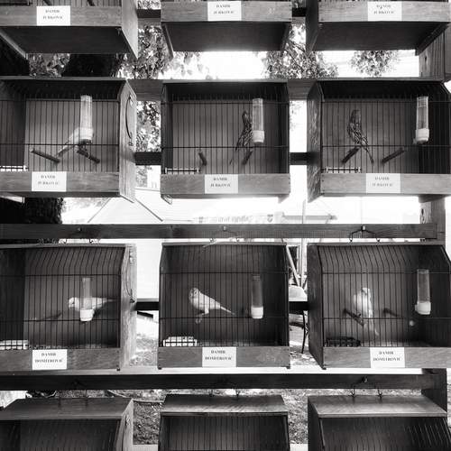 Photo #13738916
