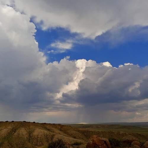 Photo #13738918