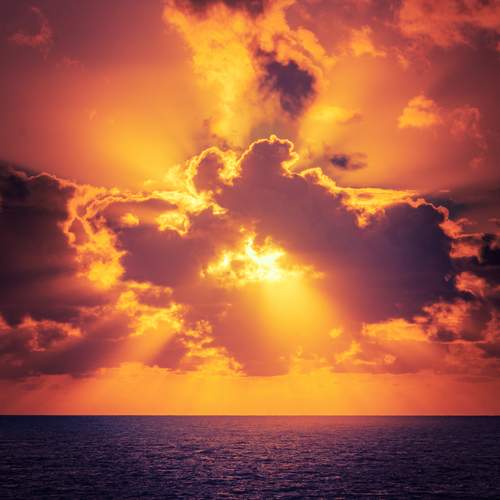 Photo #13738921