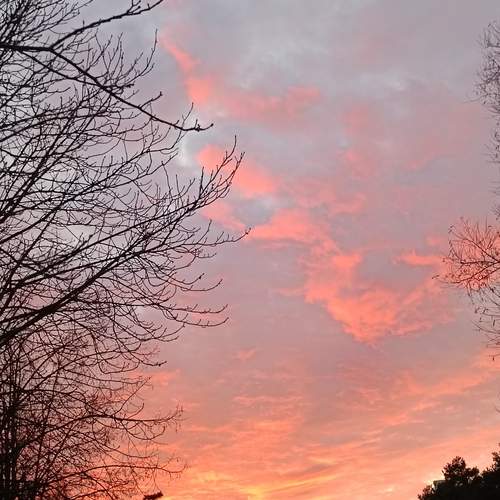 Photo #13738934
