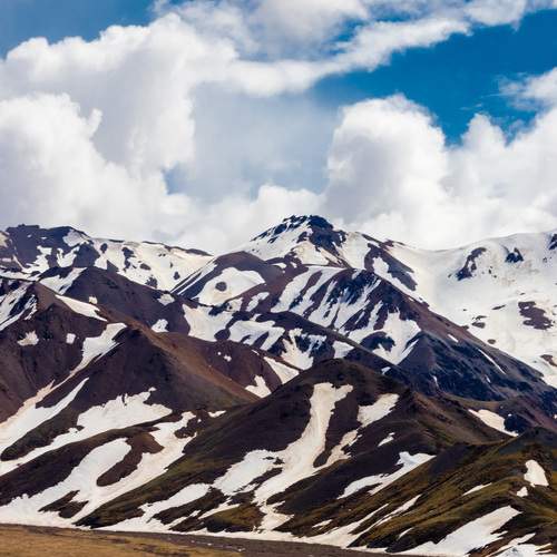Photo #13738938