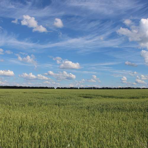Photo #13738960