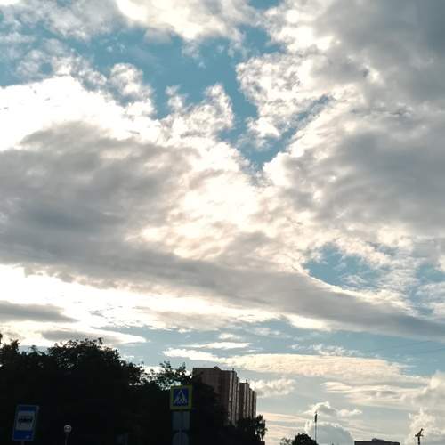 Photo #13738969