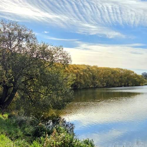 Photo #13738980