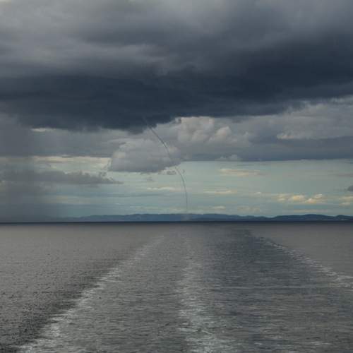 Photo #13738985