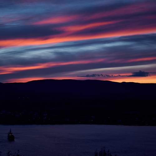 Photo #13738988