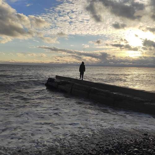Photo #13739031