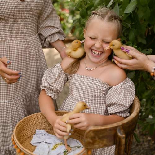 Photo #13739040