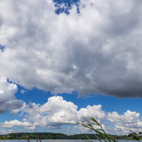 Photo #13739067