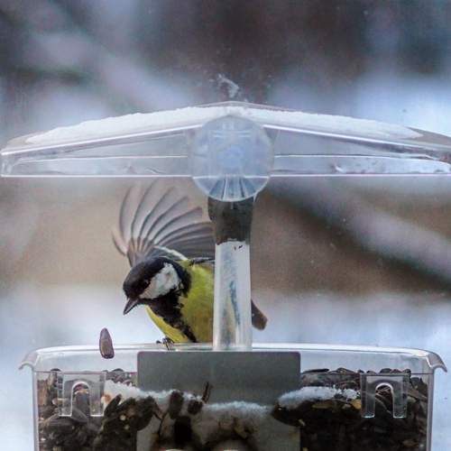 Photo #13739116