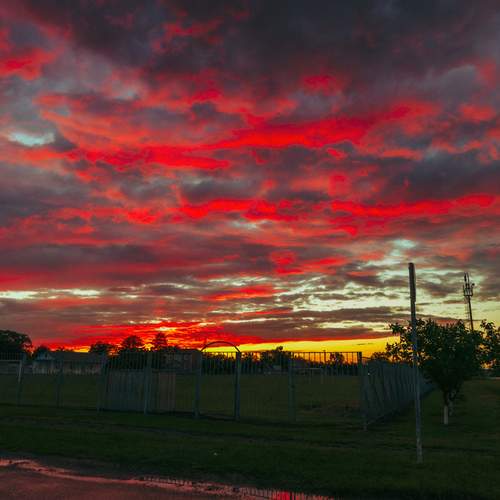 Photo #13739132