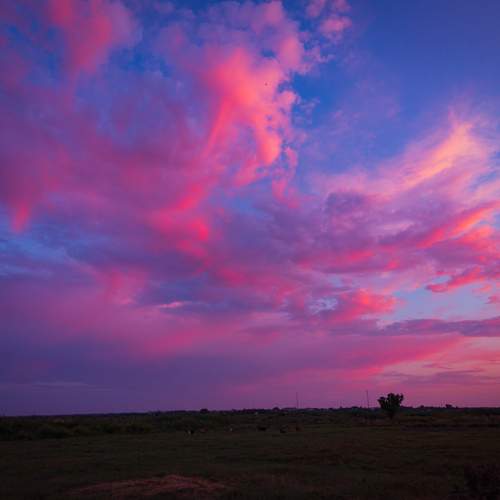 Photo #13739134