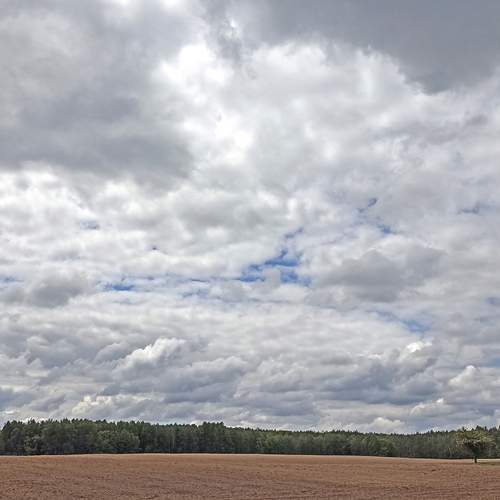 Photo #13739137