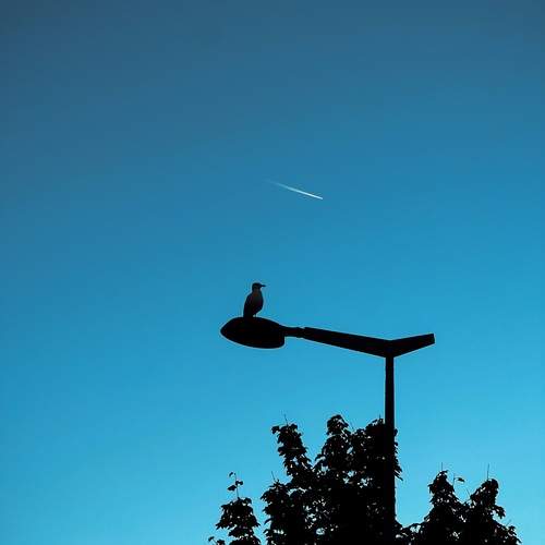 Photo #13739142