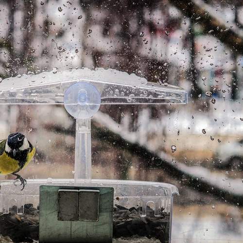Photo #13739143