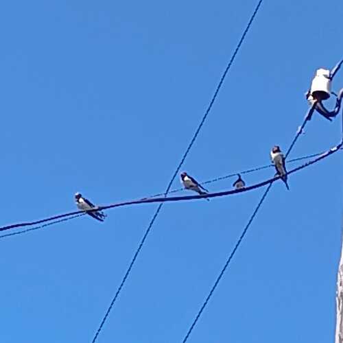 Photo #13739150