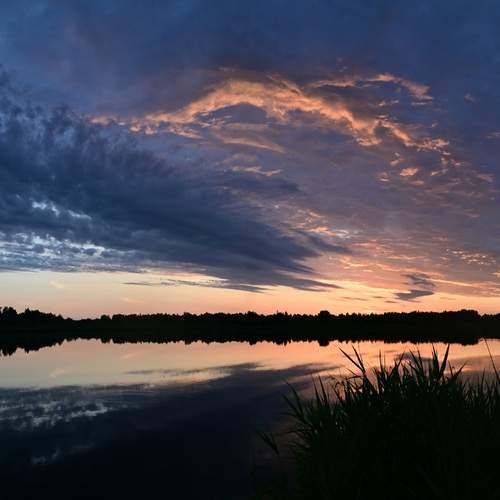 Photo #13739158