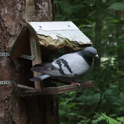 Photo #13739172