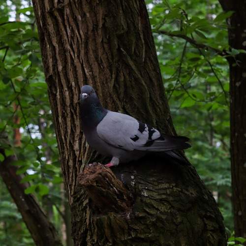 Photo #13739173