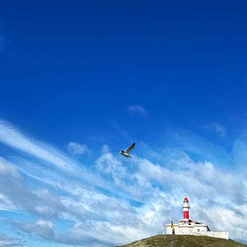 Photo #13739174