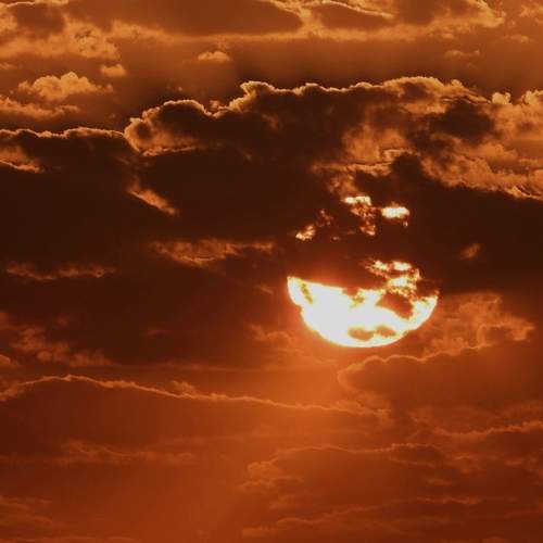 Photo #13739197