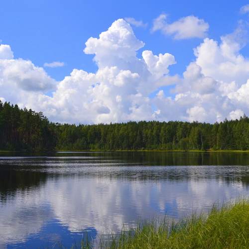 Photo #13739218