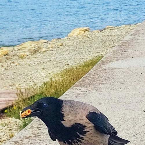 Photo #13739222