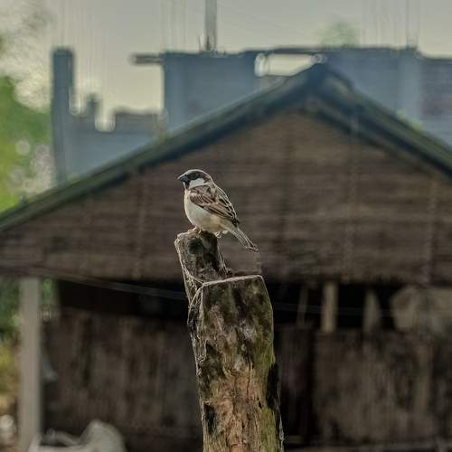 Photo #13739239