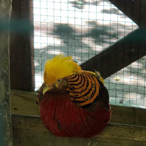 Photo #13739270