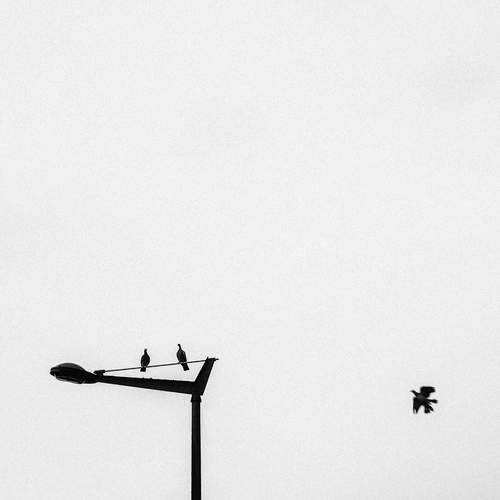 Photo #13739271