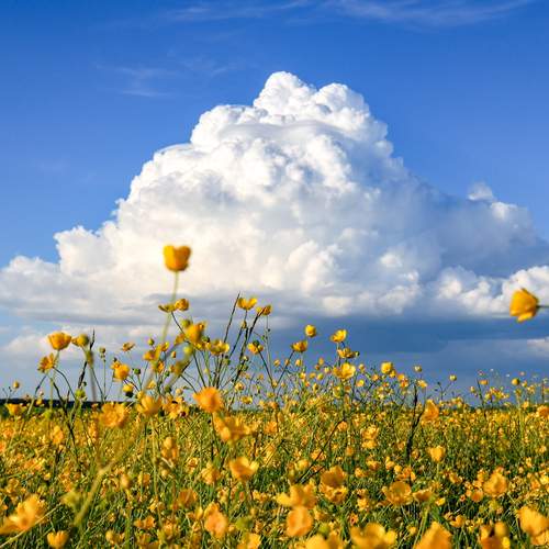 Photo #13739289
