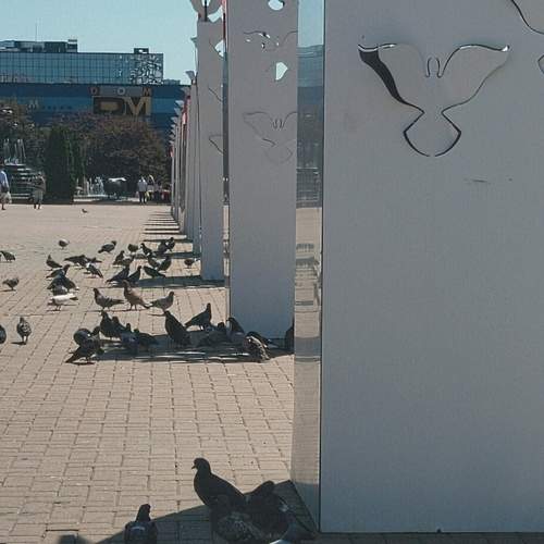 Photo #13739305