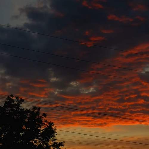 Photo #13739335