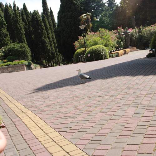 Photo #13739353