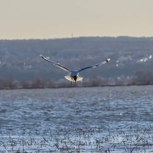 Photo #13739358