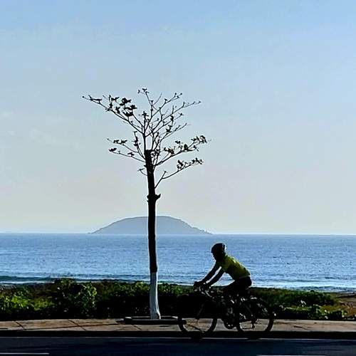 Photo #13739371