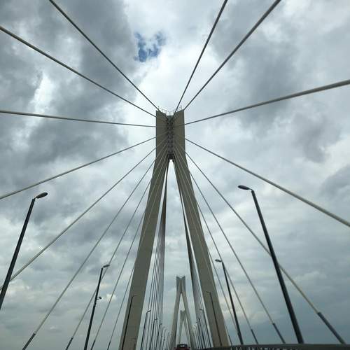 Photo #13739373