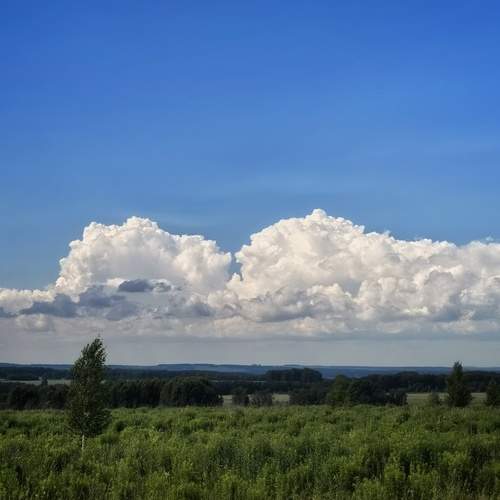 Photo #13739374