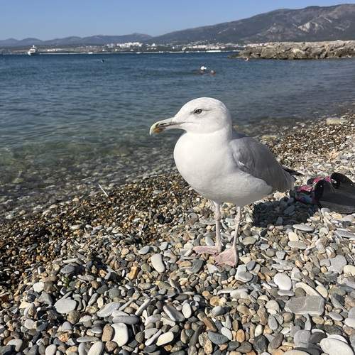 Photo #13739380