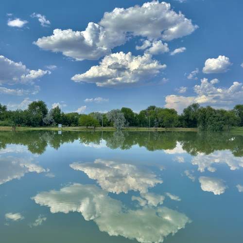 Photo #13739396