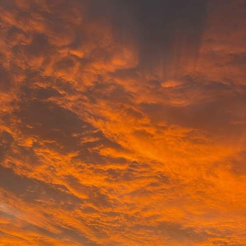 Photo #13739412