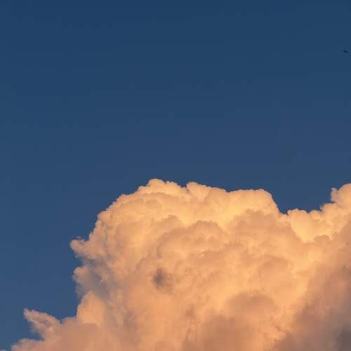 Photo #13739414