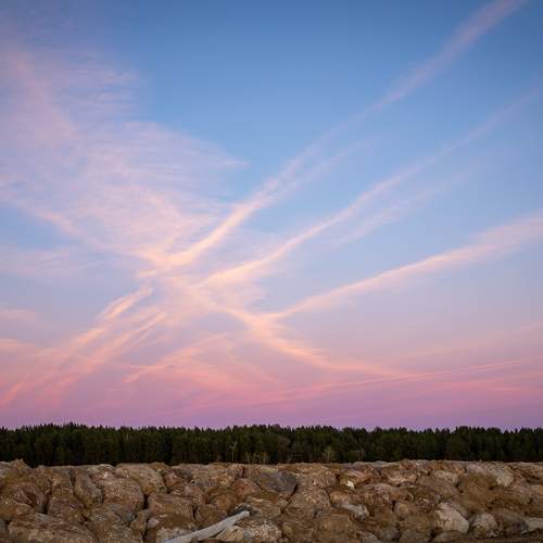 Photo #13739435