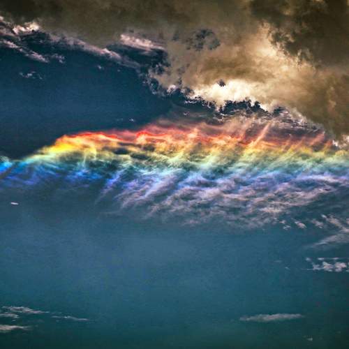 Photo #13739477