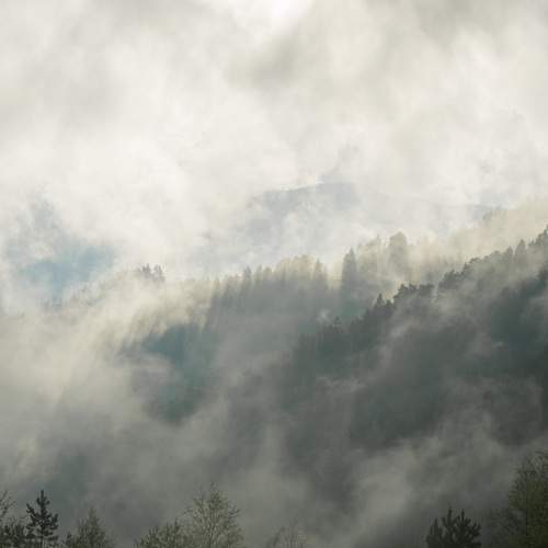 Photo #13739511