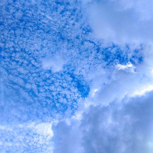 Photo #13739516