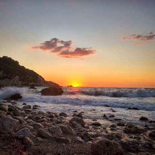 Photo #13739528
