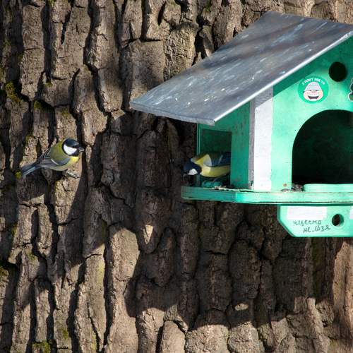 Photo #13739574