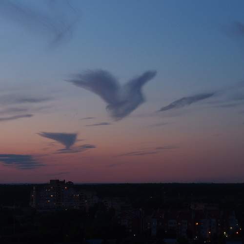 НЕБЕСНЫЕ ПТИЦЫ